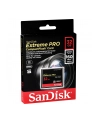 Sandisk karta Compact Flash Extreme 32GB (transfer 160 MB/s) - nr 23