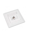Solarix gniazdo 5e UTP 1 x RJ45 podtynkowy biały - nr 7