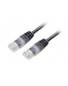 Equip patchord RJ45, kat. 6, UTP, 0.5m, czarny - nr 2