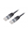 Equip patchord RJ45, kat. 6, UTP, 0.5m, czarny - nr 3