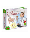 ALEXANDER Gra Big Quiz, Ciało Człowieka - nr 5