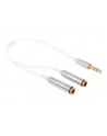 Delock Kabel Jack Stero Mini(M) 3.5mm 3-PIN > Jack Stereo mini(F) 3-PIN x2, 25cm - nr 12