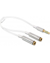 Delock Kabel Jack Stero Mini(M) 3.5mm 3-PIN > Jack Stereo mini(F) 3-PIN x2, 25cm - nr 14