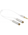 Delock Kabel Jack Stero Mini(M) 3.5mm 3-PIN > Jack Stereo mini(F) 3-PIN x2, 25cm - nr 16