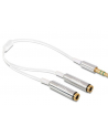 Delock Kabel Jack Stero Mini(M) 3.5mm 3-PIN > Jack Stereo mini(F) 3-PIN x2, 25cm - nr 1