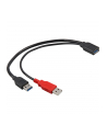 Delock kabel USB-A(M) x2 -> AF 3.0, 30cm - nr 25