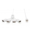 Hub USB 2.0 DIGITUS pasywny - nr 16