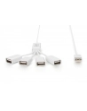Hub USB 2.0 DIGITUS pasywny - nr 23