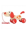 HAPE Piesek na sznurku - nr 2