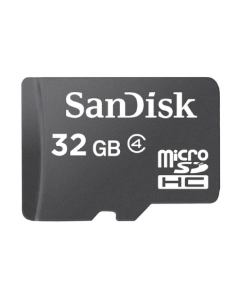 SanDisk microSDHC Card - 32GB