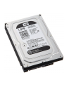 HDD WD CAVIAR 1TB WD1003FZEX SATA III 64MB CACHE - nr 94