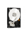 HDD WD CAVIAR 1TB WD1003FZEX SATA III 64MB CACHE - nr 106