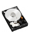 HDD WD CAVIAR 1TB WD1003FZEX SATA III 64MB CACHE - nr 115