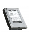 HDD WD CAVIAR 1TB WD1003FZEX SATA III 64MB CACHE - nr 6