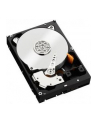 HDD WD CAVIAR 1TB WD1003FZEX SATA III 64MB CACHE - nr 86