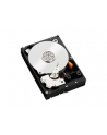 HDD WD CAVIAR 1TB WD1003FZEX SATA III 64MB CACHE - nr 91
