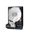 HDD WD CAVIAR 1TB WD1003FZEX SATA III 64MB CACHE - nr 97