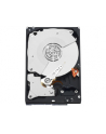HDD WD CAVIAR 1TB WD1003FZEX SATA III 64MB CACHE - nr 9