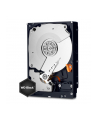 HDD WD CAVIAR 1TB WD1003FZEX SATA III 64MB CACHE - nr 50