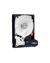HDD WD CAVIAR 1TB WD1003FZEX SATA III 64MB CACHE - nr 53