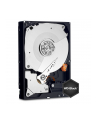 HDD WD CAVIAR 2TB WD2003FZEX SATA III 64MB CACHE - nr 116
