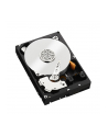 HDD WD CAVIAR 2TB WD2003FZEX SATA III 64MB CACHE - nr 118