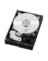 HDD WD CAVIAR 2TB WD2003FZEX SATA III 64MB CACHE - nr 134
