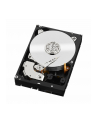 HDD WD CAVIAR 2TB WD2003FZEX SATA III 64MB CACHE - nr 99