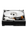HDD WD CAVIAR 2TB WD2003FZEX SATA III 64MB CACHE - nr 18