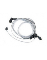 KABEL ADAPTEC Adaptec I-rA-HDmSAS-4SATA-SB-.8M - nr 8