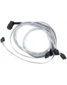 KABEL ADAPTEC Adaptec I-rA-HDmSAS-4SATA-SB-.8M - nr 13