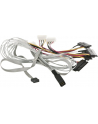 ADAPTEC kabel ACK-I-HDmSAS-4SAS-SB 0 8M - nr 12