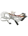 ADAPTEC kabel ACK-I-HDmSAS-4SAS-SB 0 8M - nr 1