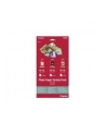CANON PRINTERS Canon PAPER Photo Paper Variety Pack 10x15cm VP-101 - nr 13