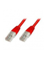 Patch cord U/UTP kat.5e PVC 2m czerwony - nr 10