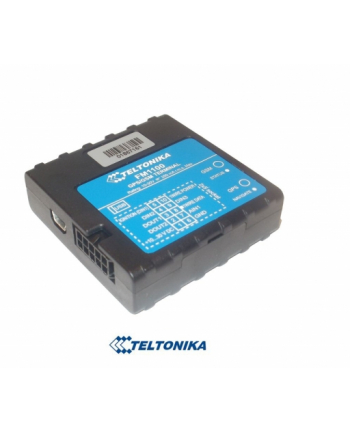 Teltonika FM1100 GPS automotive GPS tracker