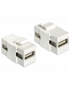 Moduł Keystone USB 2.0 A(F)A(F) - nr 16