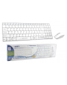 Zestaw Bezprzewodowy Klawiatura + Mysz ESPERANZA 2.4 EK122W - nr 24