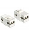 Moduł Keystone USB 2.0 A(F)A(F) - nr 11