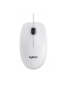 MYSZ LOGITECH OPTICAL B100 USB OEM - BIAŁA - nr 11
