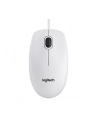 MYSZ LOGITECH OPTICAL B100 USB OEM - BIAŁA - nr 15