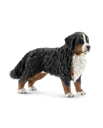 SCHLEICH Bernardyn, suczka nr 1