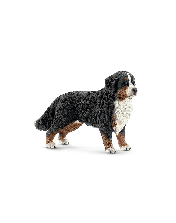 SCHLEICH Bernardyn, suczka główny