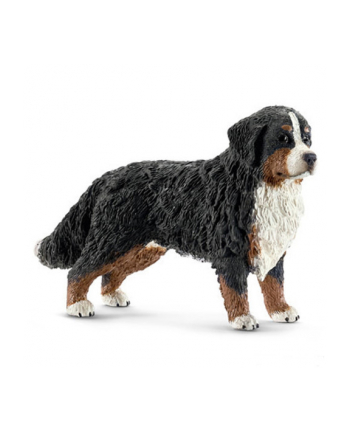 SCHLEICH Bernardyn, suczka nr 2