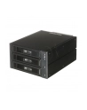BACKPLANE CHIEFTEC CBP-2131SAS 2x5 25  ->3xHDD/SSD SAS/SATA - nr 26
