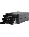 BACKPLANE CHIEFTEC CBP-2131SAS 2x5 25  ->3xHDD/SSD SAS/SATA - nr 47