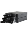 BACKPLANE CHIEFTEC CBP-2131SAS 2x5 25  ->3xHDD/SSD SAS/SATA - nr 9