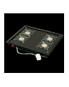 Triton panel wentylacyjny z termostatem RAB-CH-X04-X3  (4x wentylator 230V/60W  sufitowo-podłogowy  kolor czarny RAL 9005) - nr 1
