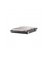 Dysk twardy HP 1TB 7200rpm SATA 6Gbps Hard Drive - nr 9