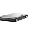 Dysk twardy HP 1TB 7200rpm SATA 6Gbps Hard Drive - nr 13